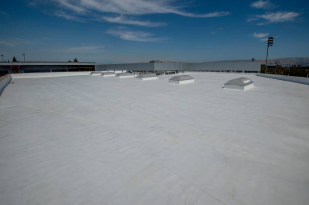 Best Chimney Flashing Repair  in Albany, IN