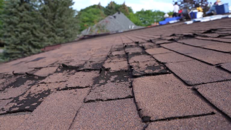 Professional Roofing Service in Albany, IN