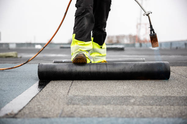 Best Roof Coating and Sealing  in Albany, IN